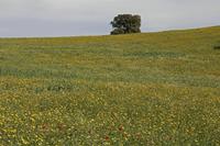 Cjp_2016_04_08_144300.jpg