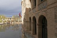 Cjp_2016_04_10_081616.jpg