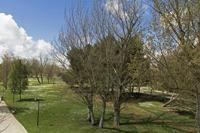 Cjp_2016_04_16_114956.jpg
