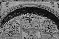Cjp_2016_04_16_184008_NB.jpg