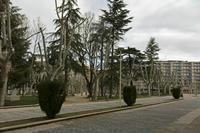 Cjp_2016_04_17_070256.jpg