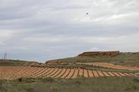Cjp_2016_04_19_143136.jpg