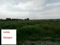 Cjp_2016_04_20_083034.jpg