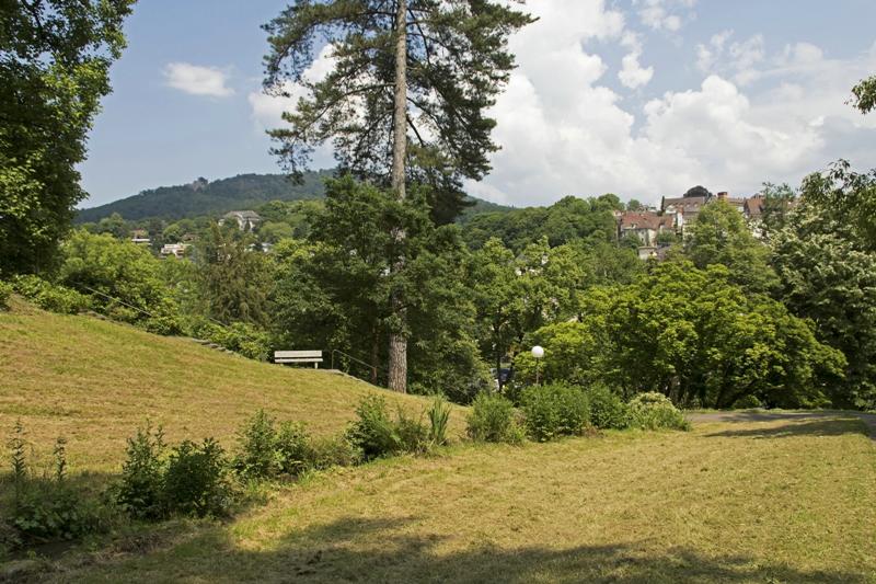 Cjp_2016_06_07_114450.jpg