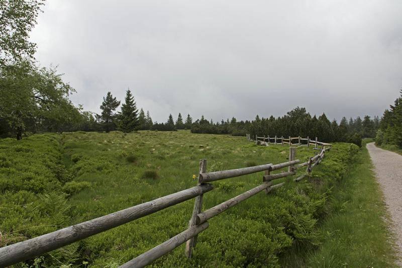 Cjp_2016_06_08_130520.jpg