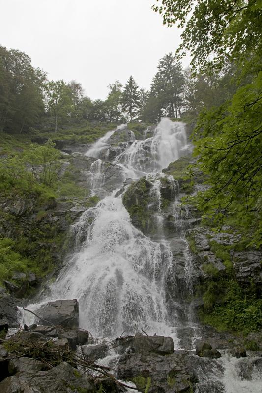 Cjp_2016_06_11_072404.jpg