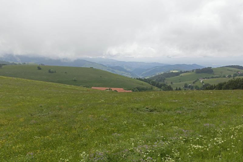 Cjp_2016_06_11_112448.jpg