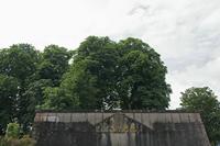 Cjp_2016_06_12_081410.jpg