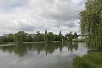 Cjp_2016_06_12_081712.jpg