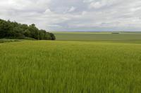 Cjp_2016_06_12_154350.jpg