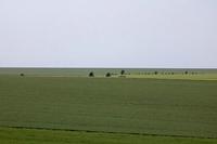 Cjp_2016_06_12_174226.jpg