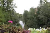 Cjp_2016_09_16_075042.jpg
