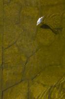 Cjp_2016_09_18_094052_2.jpg