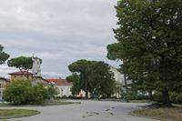 Cjp_2016_09_19_055310.jpg