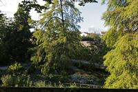Cjp_2016_09_19_152056.jpg