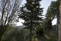 Cjp_2016_09_25_064250.jpg