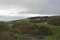 Cjp_2017-03-18_091206.jpg