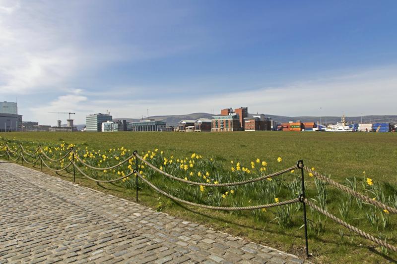 Cjp_2017-03-24_122350.jpg