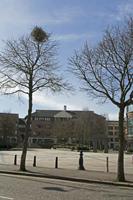 Cjp_2017-03-24_112916.jpg