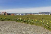 Cjp_2017-03-24_122334.jpg