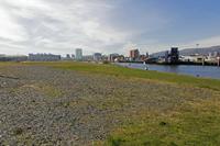 Cjp_2017-03-24_123930.jpg
