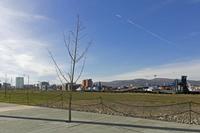 Cjp_2017-03-24_124156.jpg
