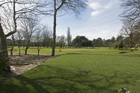 Cjp_2017-03-24_134342.jpg
