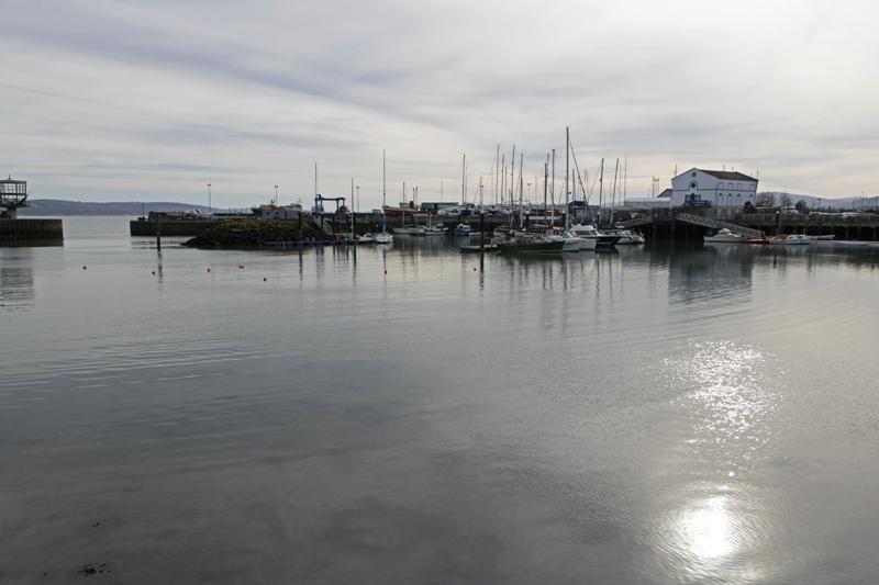 Cjp_2017-03-24_153554.jpg