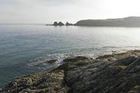 Cjp_2017-03-25_075232.jpg