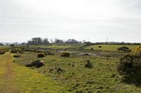 Cjp_2017-03-25_133842.jpg