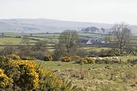 Cjp_2017-03-25_133856.jpg