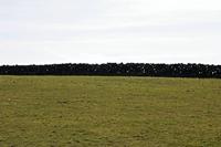 Cjp_2017-03-25_134106.jpg