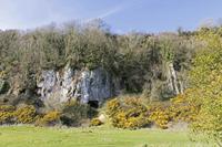 Cjp_2017-03-25_144814.jpg
