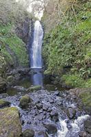 Cjp_2017-03-25_154322.jpg