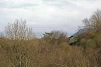 Cjp_2017-03-25_154758.jpg