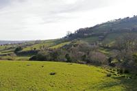 Cjp_2017-03-25_155026.jpg
