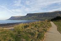 Cjp_2017-03-25_165658.jpg