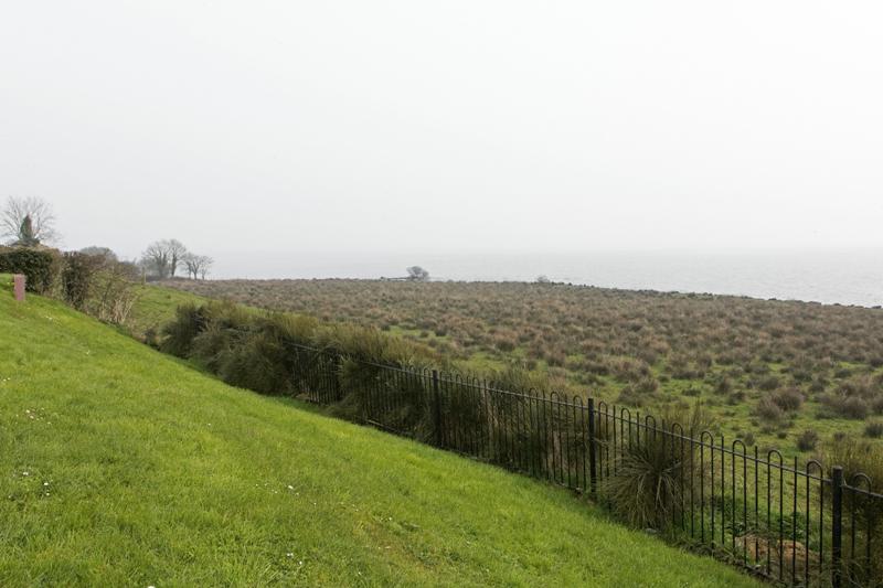 Cjp_2017-03-28_100446.jpg