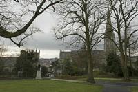 Cjp_2017-03-29_071234.jpg