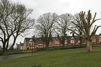 Cjp_2017-03-29_071334.jpg