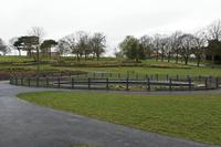 Cjp_2017-03-29_071444.jpg