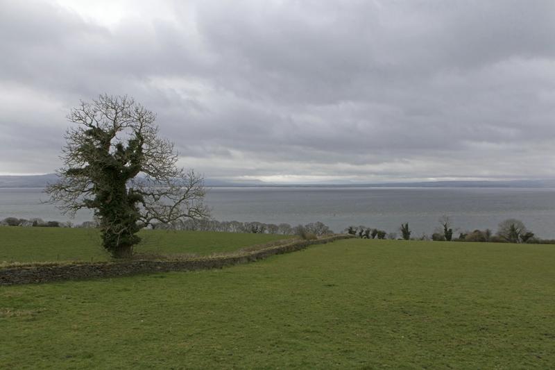 Cjp_2017-03-29_120132.jpg