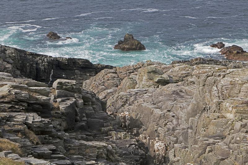 Cjp_2017-03-29_133504.jpg