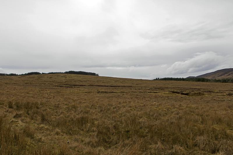 Cjp_2017-03-29_151418.jpg