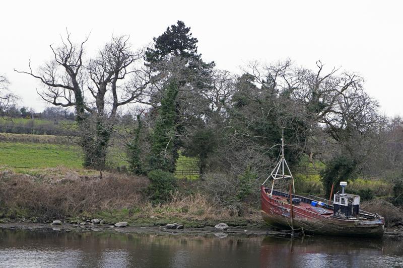 Cjp_2017-03-29_165956.jpg