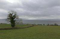 Cjp_2017-03-29_120132.jpg
