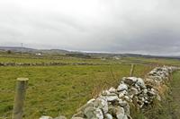 Cjp_2017-03-29_122130.jpg