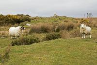 Cjp_2017-03-29_122636.jpg