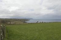 Cjp_2017-03-29_123406.jpg