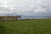 Cjp_2017-03-29_123458.jpg